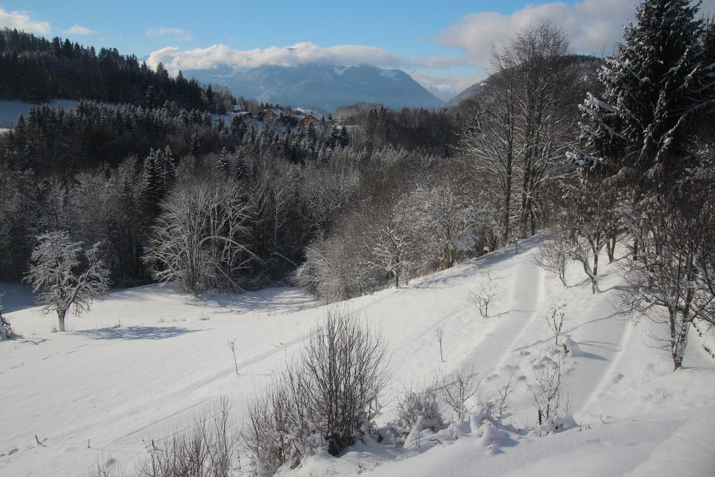 Chalet Eterlou Mégevette Екстериор снимка