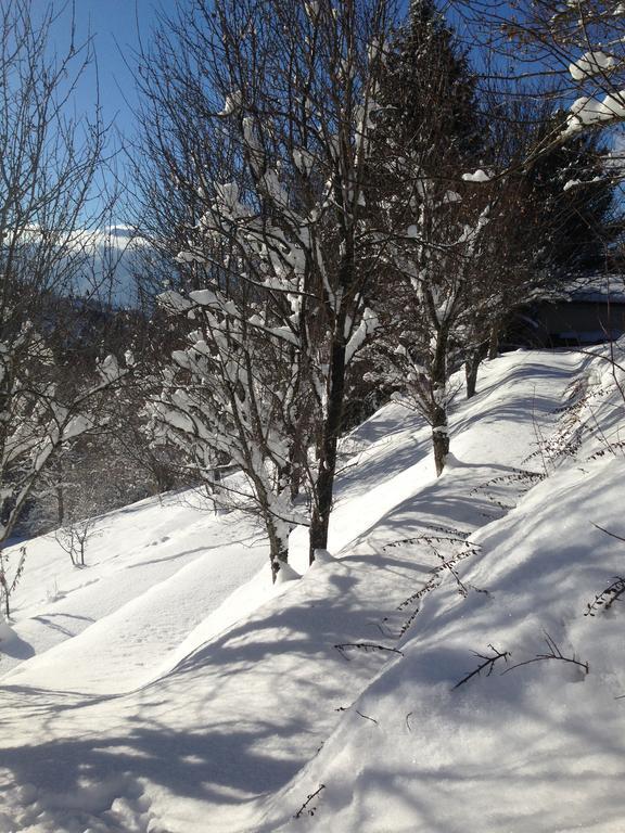 Chalet Eterlou Mégevette Екстериор снимка