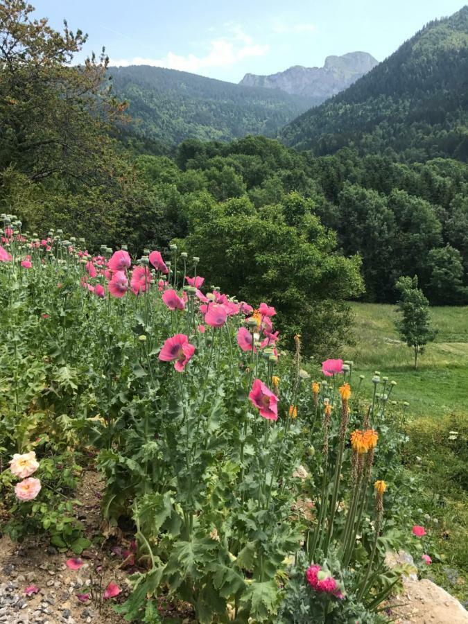 Chalet Eterlou Mégevette Екстериор снимка