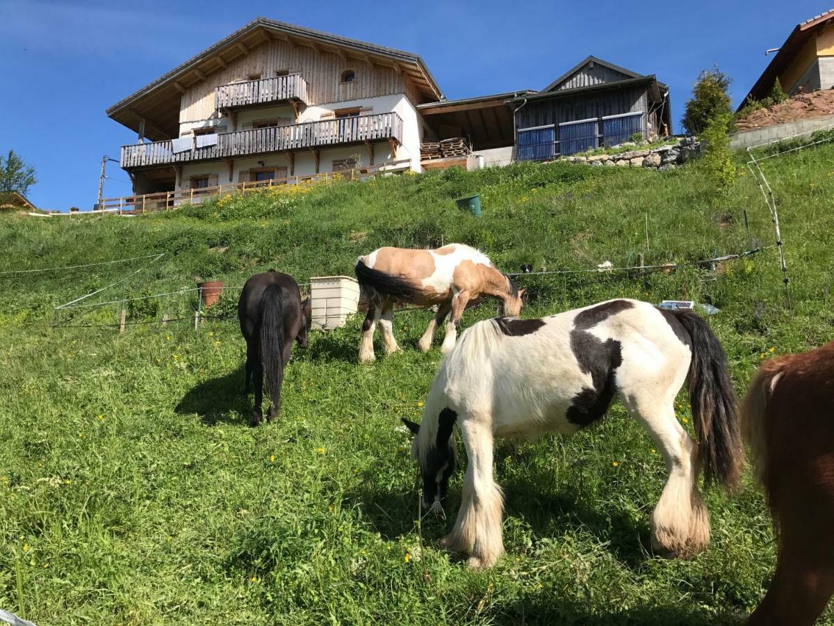 Chalet Eterlou Mégevette Екстериор снимка