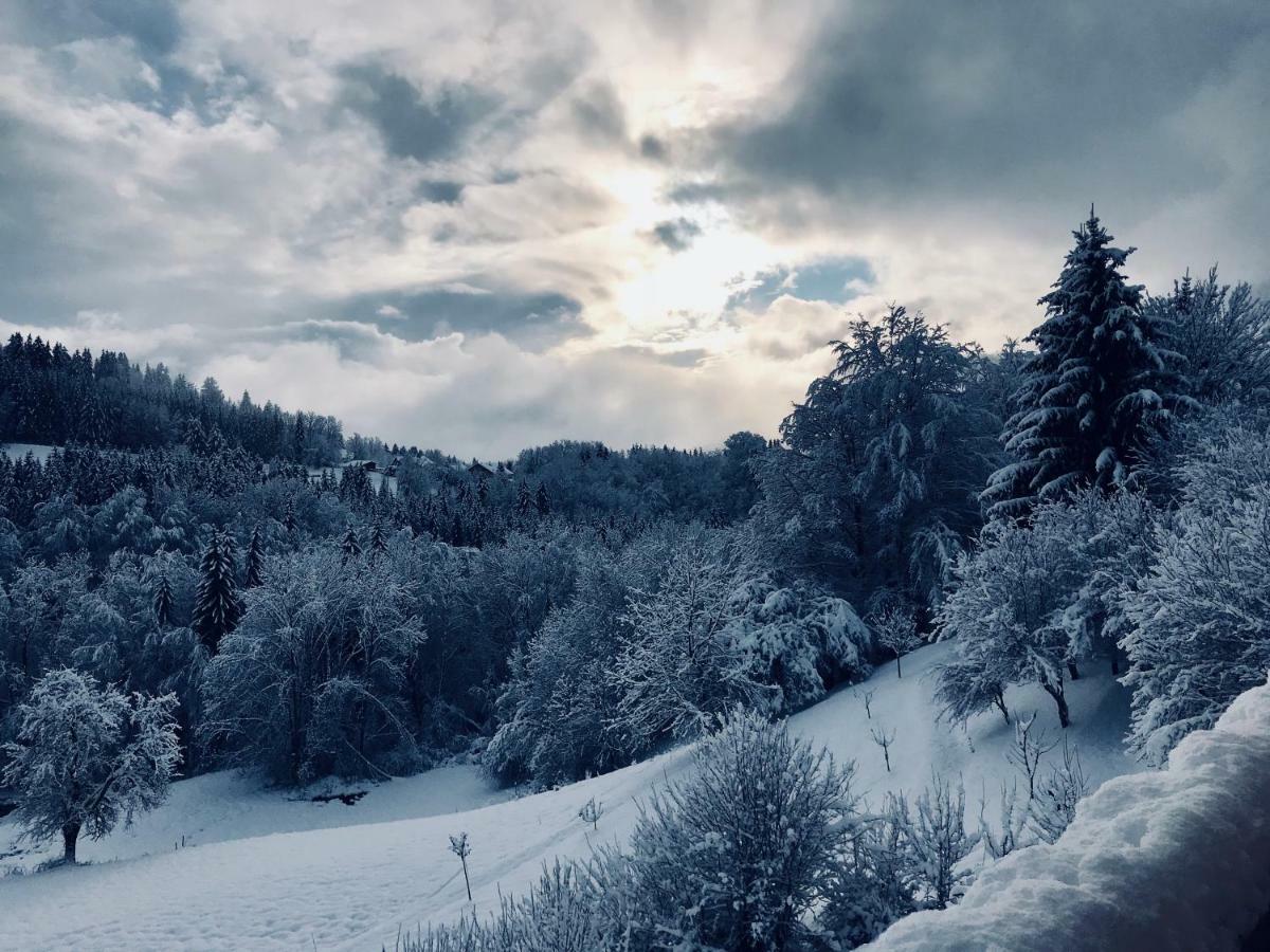 Chalet Eterlou Mégevette Екстериор снимка