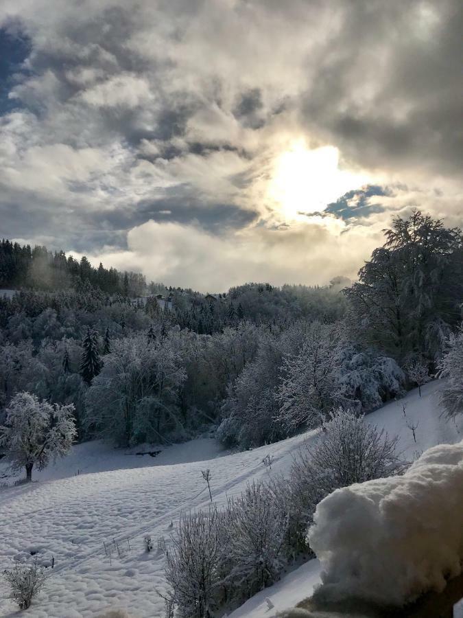 Chalet Eterlou Mégevette Екстериор снимка